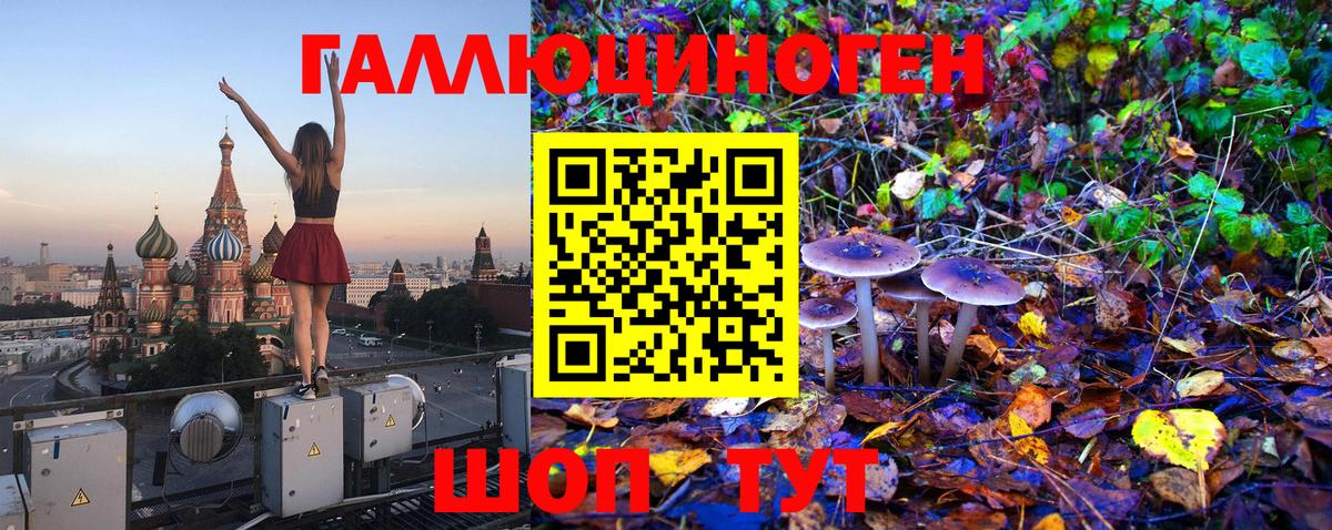 Волгодонск  Галлюциногенные грибы мицелий  Вход с VPN  Галлюциногенные грибы GOLDEN TEACHER 